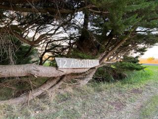 Twelve Apostles Ocean View - Princetown - 6