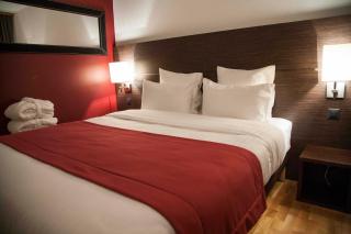 Nash Airport Hotel - Ginevra - 9