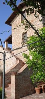 Il Casale delle Fragole - Fondi - 9