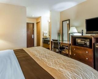 Quality Inn & Suites - Mount Pleasant - 1