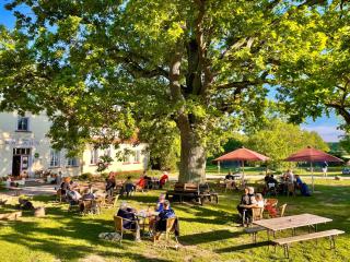 Hotel Gutshaus Kajahn - Gustow - 0