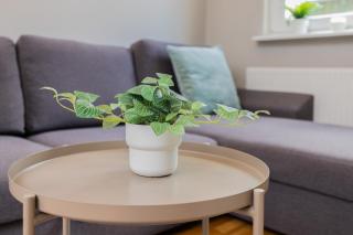 Seaside Apartment Malczewskiego on the Beach in Sopot by Noclegi Renters - Sopot - 4