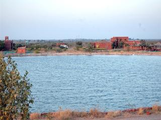 The Royal Safari Camps - 1