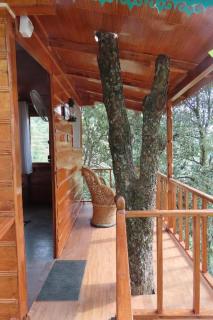 Odyssey Stays Mukteshwar - 300 Metres Trek - 4