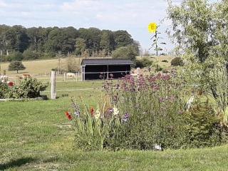 Gîte La Besse, Claudon - 5