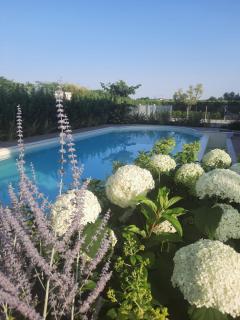 Appartamenti Villa Gloria - 9