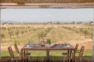 Casale Oliveta - Orbetello - 7