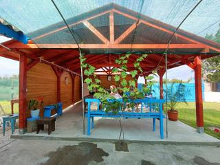 Casa NICHIFOR Jurilovca - Jurilovca - 8