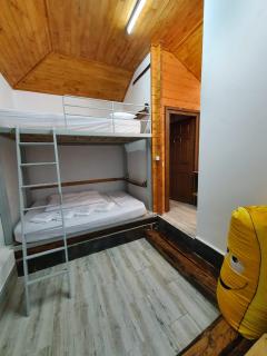 KALMul naturii, iureșul pădurii - 6