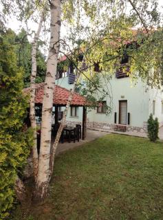 Apartman Iva Zlatibor - Zlatibor - 9