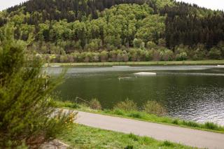Ferienwohnung mit Seeblick — Sport und Erholung - Winterberg - 9