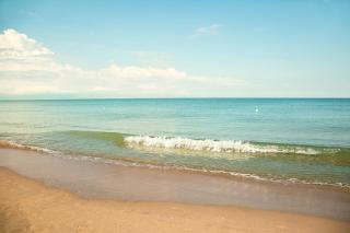 Toscana Charme Apartments - Calambrone - 1