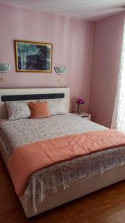 Apartments Forest - Budva - 7
