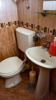 Apartments Forest - Budva - 5