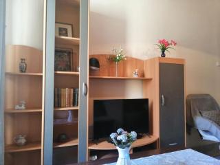 Apartment Micaela - Pola (Pula) - 1