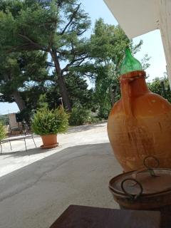 Dimora Dalia - Puglia Mia Apartments - 3