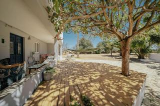 Quinta do Catalao, farm house on stunning, sustainable farm - Luz - 0