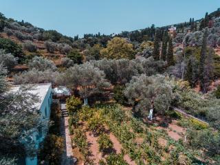 Small Paradise - Andros - 9