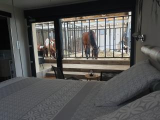 Equi-lodges - Fraisnes-en-Saintois - 3
