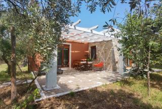 Elea Stone Houses in organic quiet olive grove, Prinos, Thassos - Prinos - 0