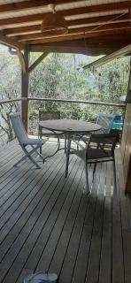 Avocatier - Le Gosier - 8
