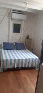 Avocatier - Le Gosier - 7