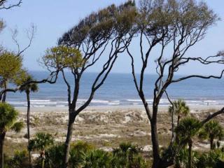 3309 Windsor Court - Hilton Head Island - 0