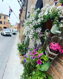 La casa dei Mimmi - Città della Pieve - 4