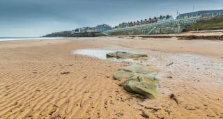 The Royal Hotel - Whitley Bay - 8