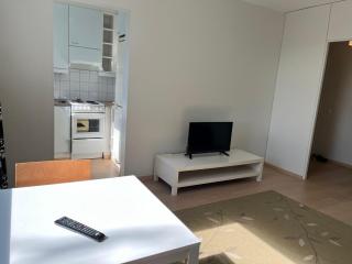 Rovaniemi budget travels - 7