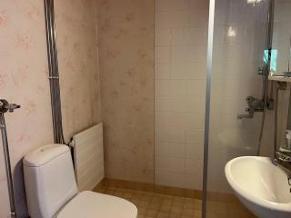 Rovaniemi budget travels - 6