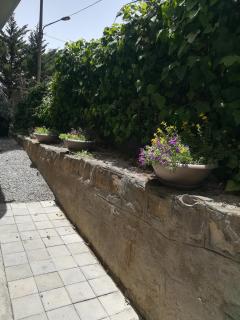 Villa Daniela - Quiete e mare - 1