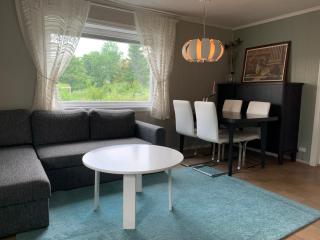3 room apartment incl balcony, WiFi, TV, garden- and parking access - Trondheim - 9