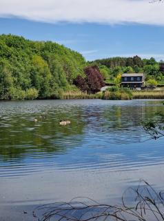 Domaine du Vivier des Cresses - 9