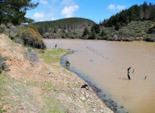 Cabaña Rústica en Pichilemu - Pichilemu - 7