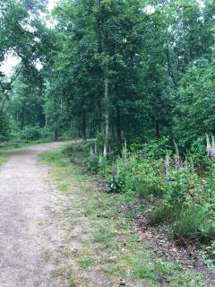 Chalet Bosrand 42 Park Veluwshof 6 p - Hoenderloo - 3