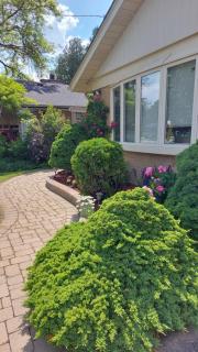 Private Apartment Close to Airport Toronto Pearson - 8