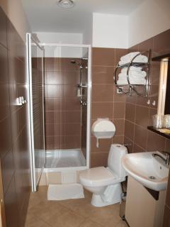 Hotel Aslan - Tarnowskie Góry - 8