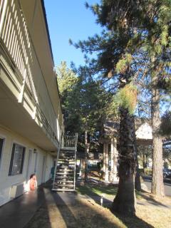 Best Western Gold Country Inn - 1