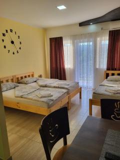 RA Apartmani Vrdnik - Vrdnik - 3