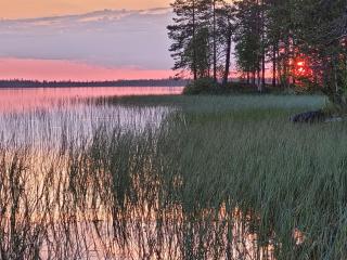 Salen Saunamökki - Ranua - 5