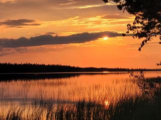 Salen Saunamökki - Ranua - 6