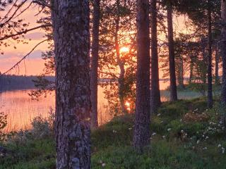 Salen Saunamökki - Ranua - 7