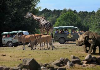 Ree Park Safari - Ebeltoft - 8