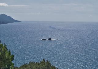 Holiday Apartments perfect for a family - Pelekas Beach - Pelekas - 9