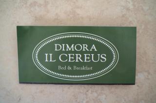 Dimora il Cereus - San Foca - 6