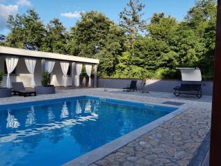 two studio apartmans whit big pool - Potpićan - 9