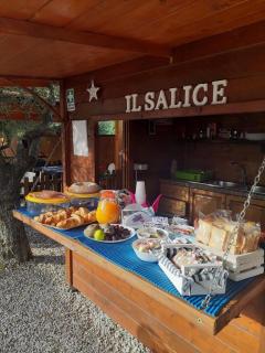 Casa vacanze Il Salice - Castellabate - 4