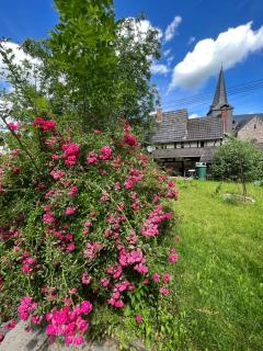 300 Jahre altes renoviertes Fachwerkhaus - 1