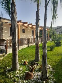 Casa vacanze Il Salice - Castellabate - 8